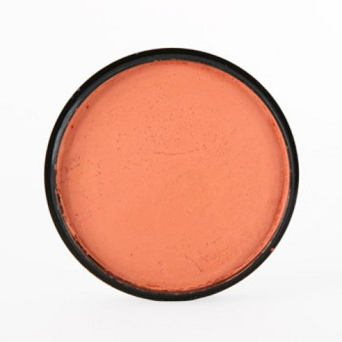 Mehron Coral Paradise Face Paint  (40 gm)