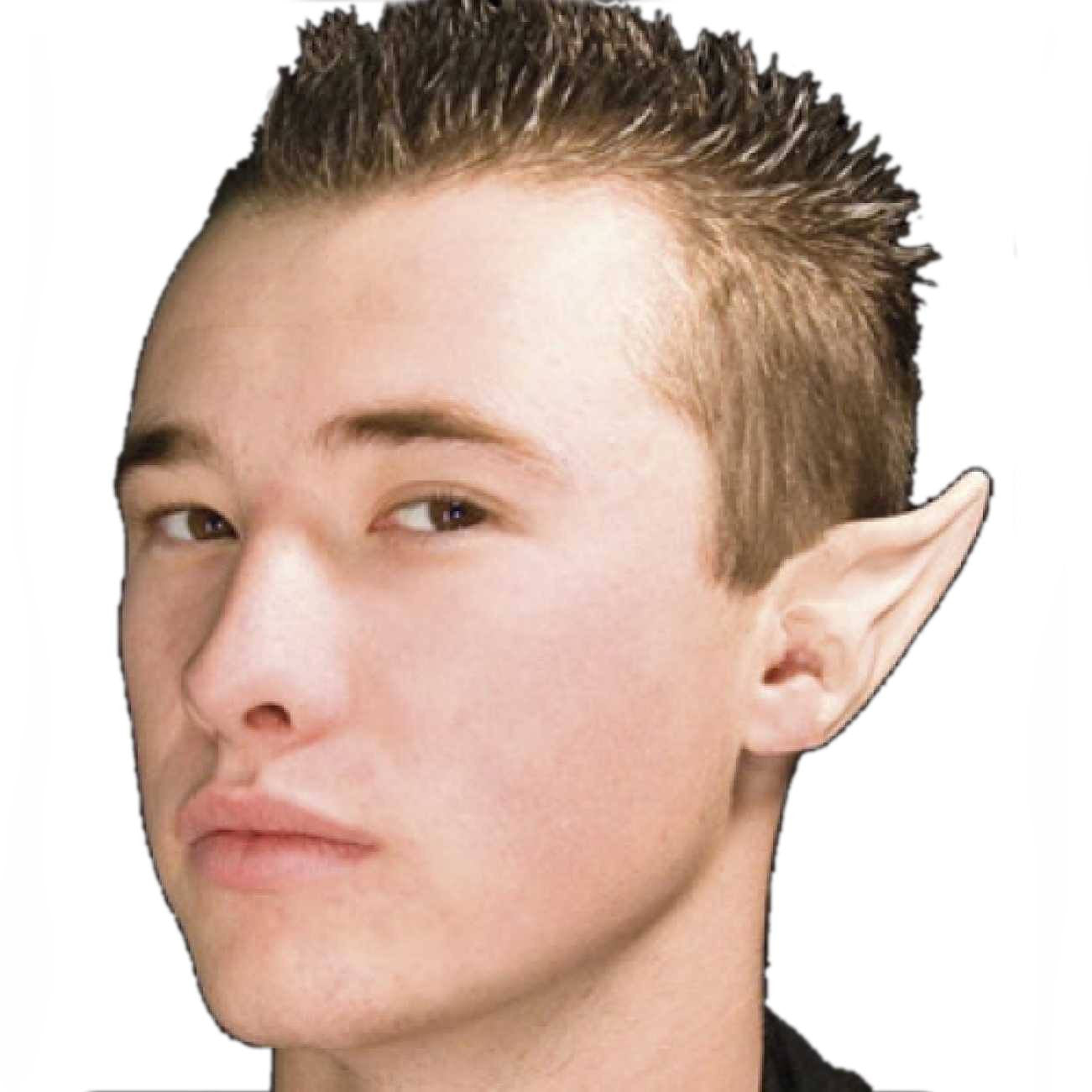 Woochie Large Special Effects Space Ear Tips Kit